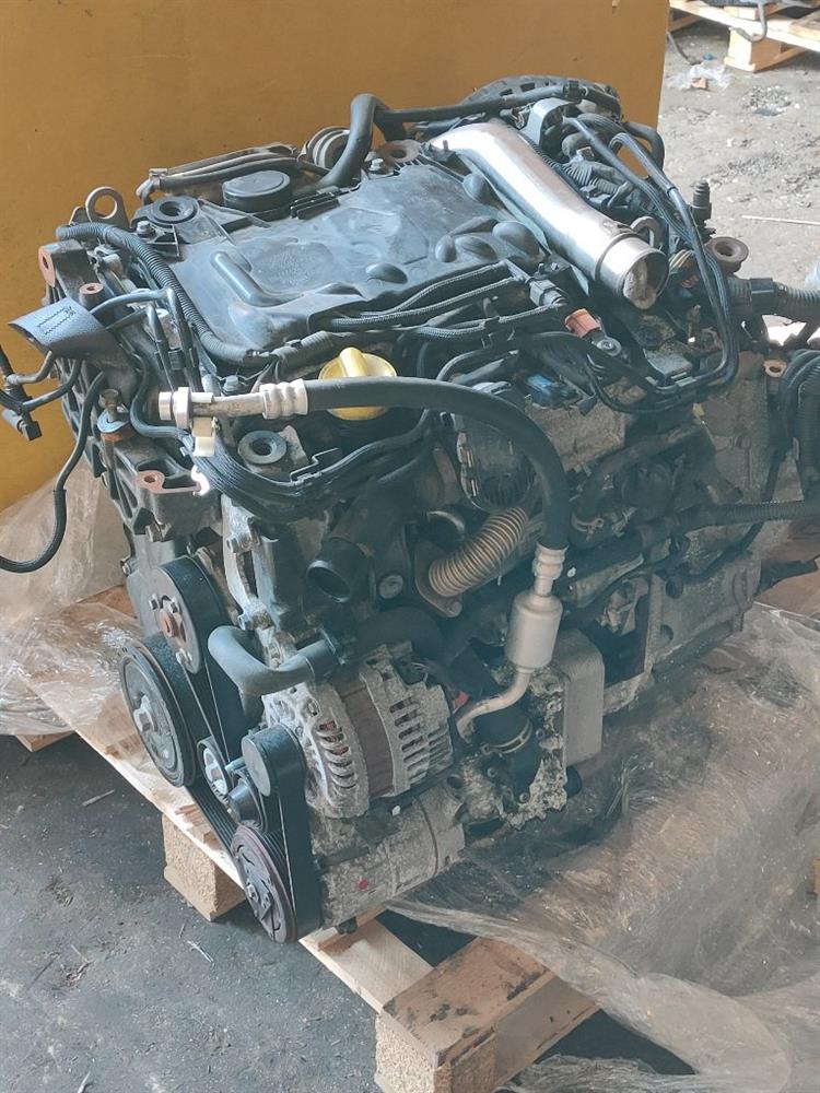 Двигатель Ниссан Х-Трейл в Зеленогорске 50287
